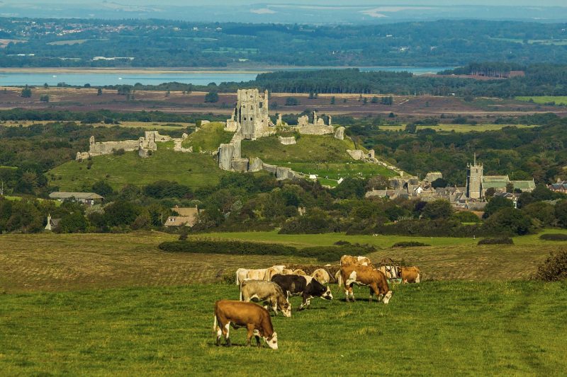 Core Castle, Purbeck, Dorset: Famous Five inspiration 