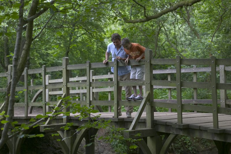 Playing Pooh Sticks in Ashdown Forest, Sussex