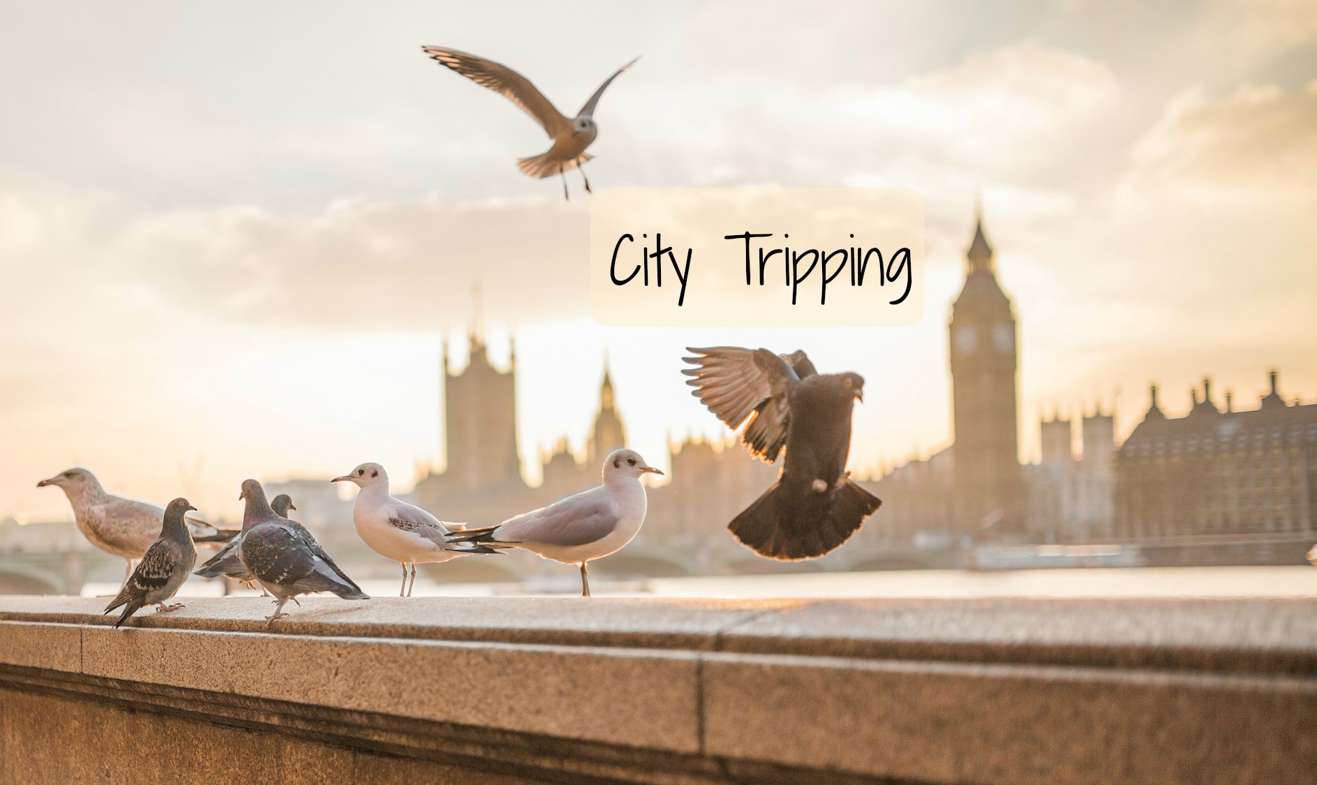 City Tripping London