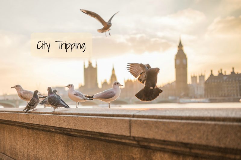 City Tripping travel linky London