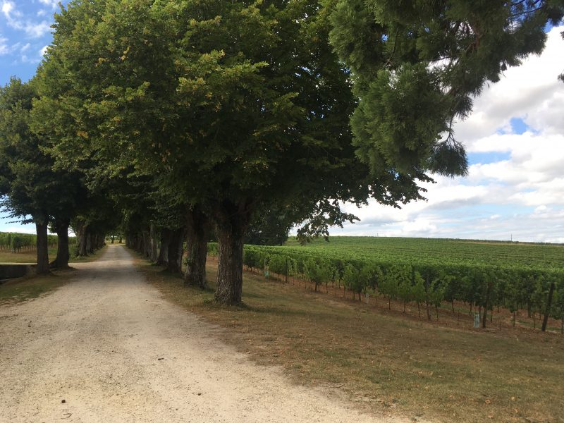 Chateau Carbonneau, Gensac, France