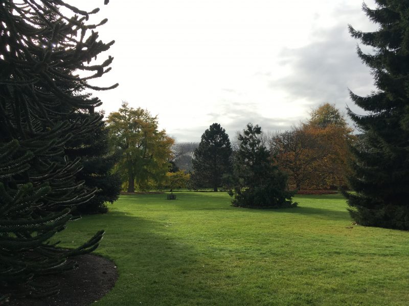 Kew Gardens in autumn, London