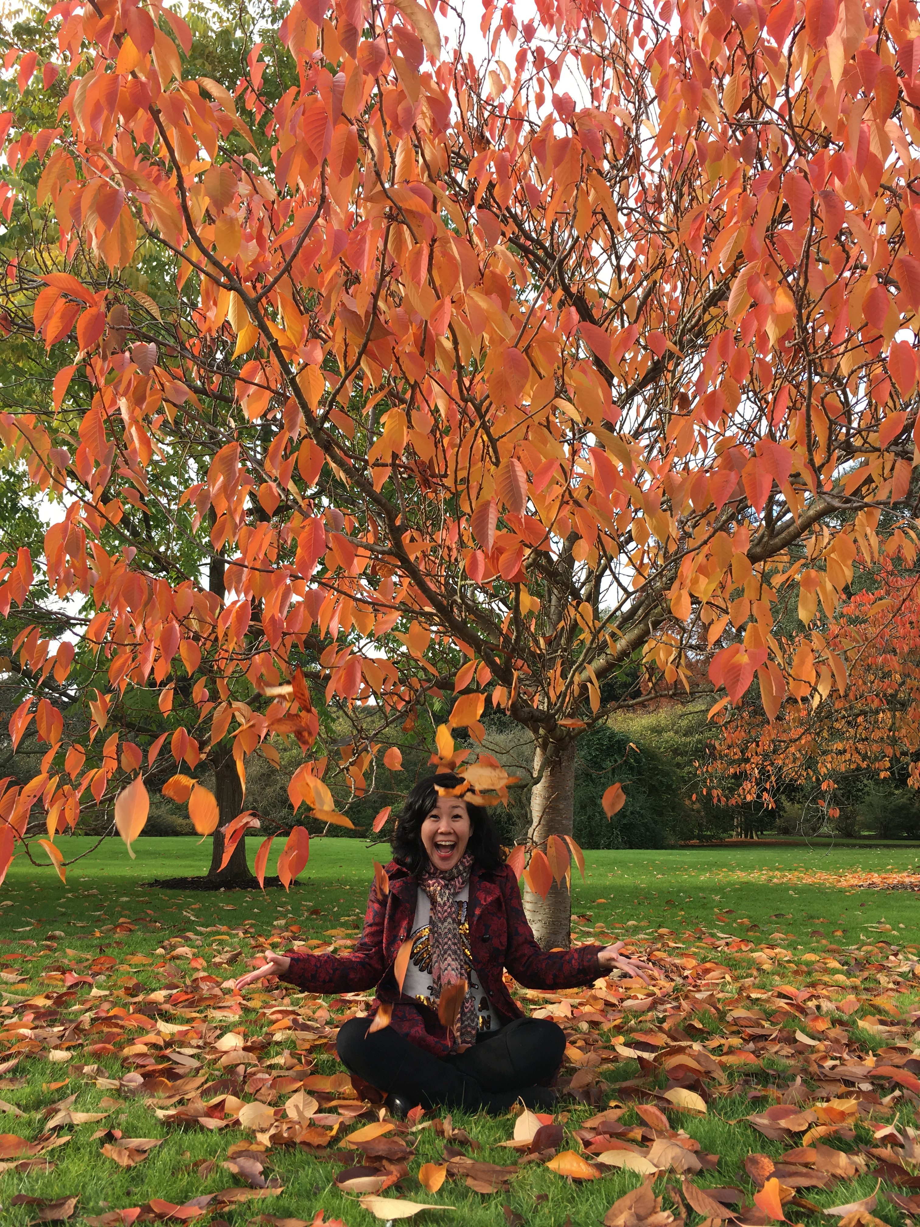 Kew Gardens in autumn