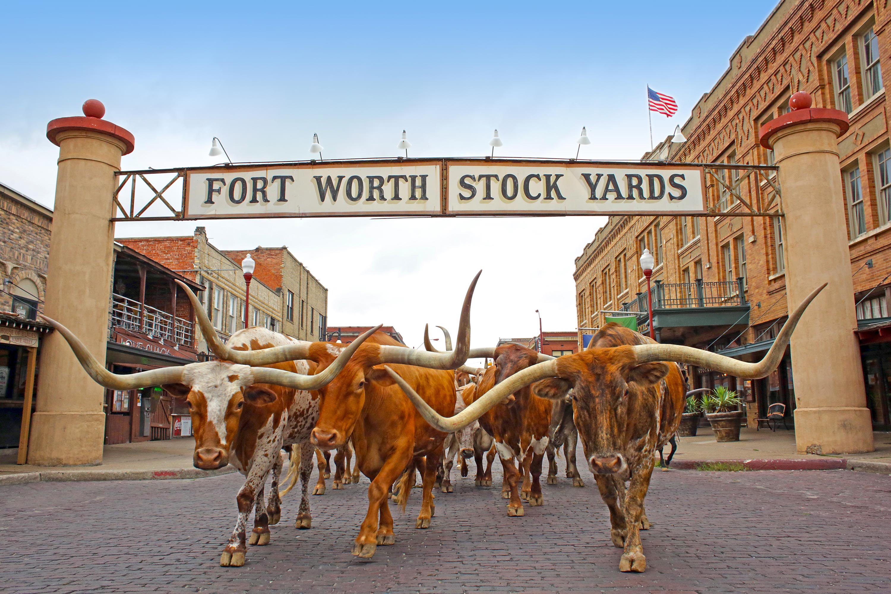 visit places in fort worth texas