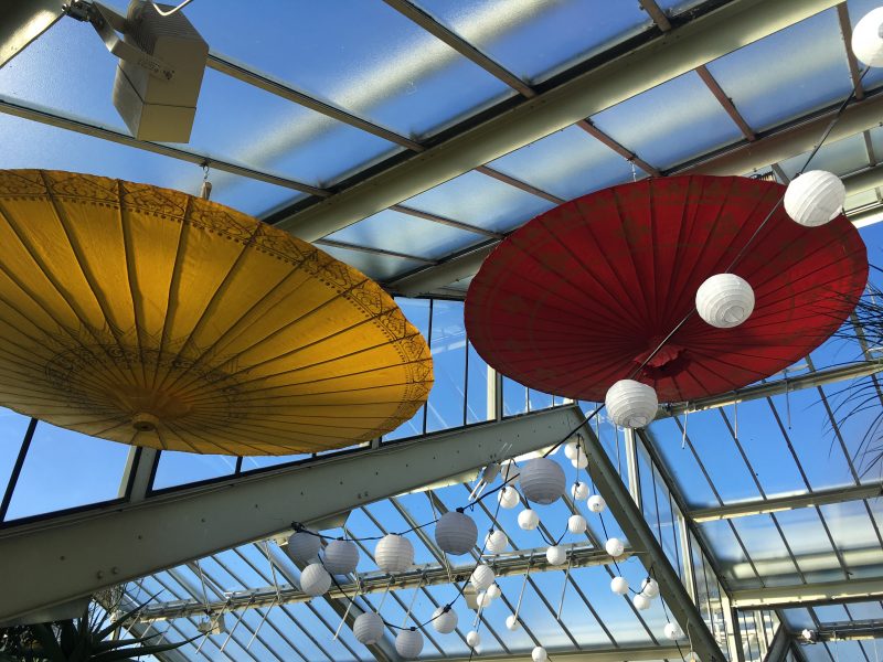 Colourful umbrellas Kew Orchid festival