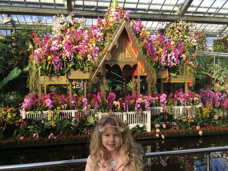 Kew Gardens Orchid Festival