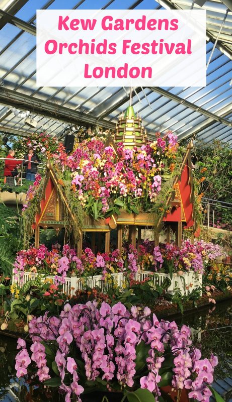 Kew Gardens Orchids Festival, London: Why visit and what's to see?