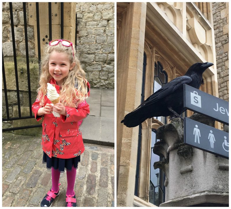 The Tower of London, raven