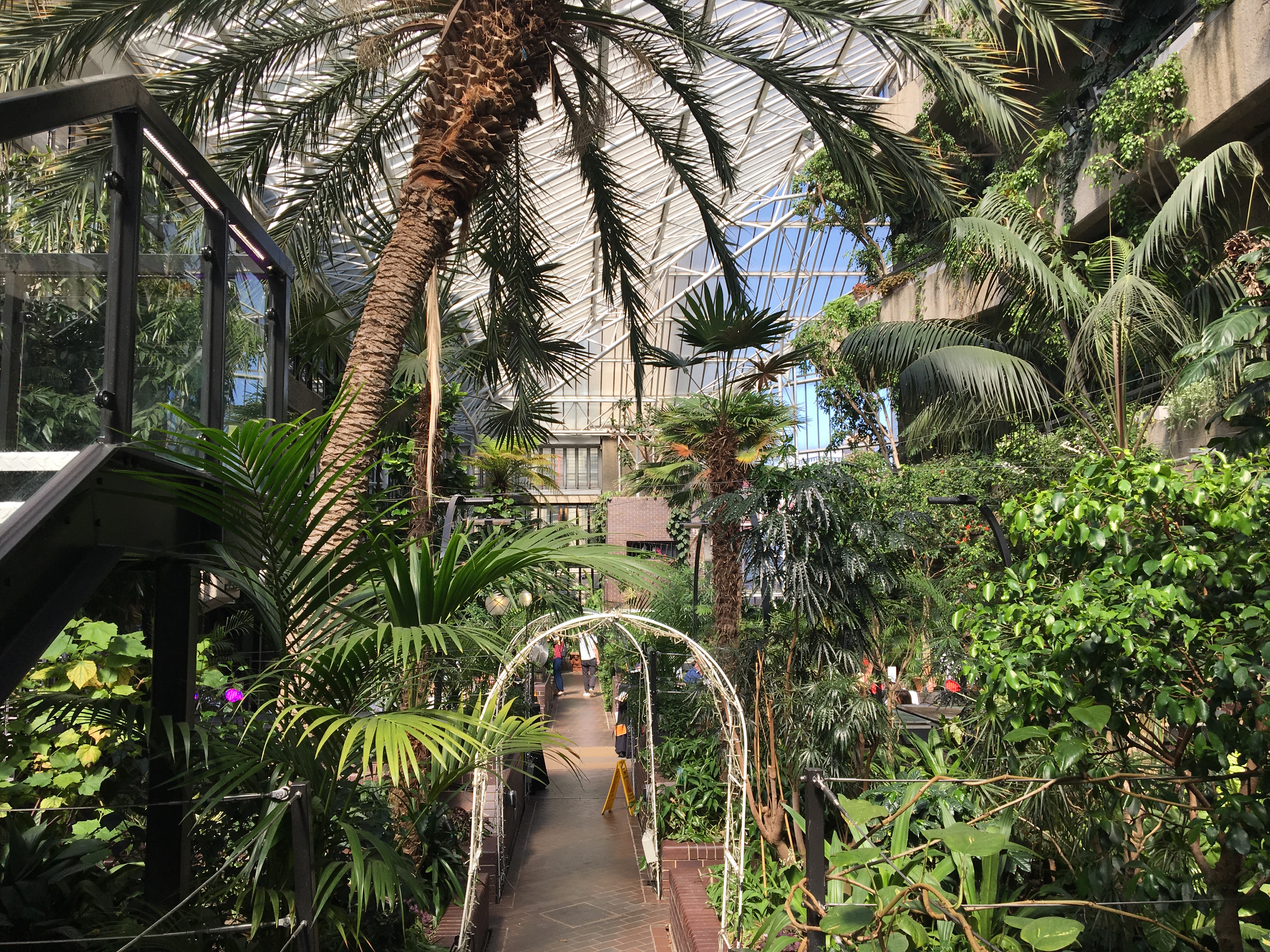 The Barbican garden conservatory