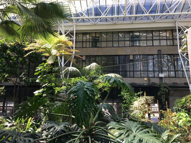 Barbican conservatory, London