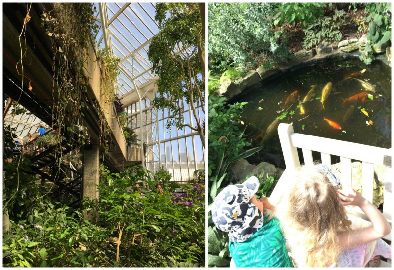 Garden conservatory. The Barbican, London