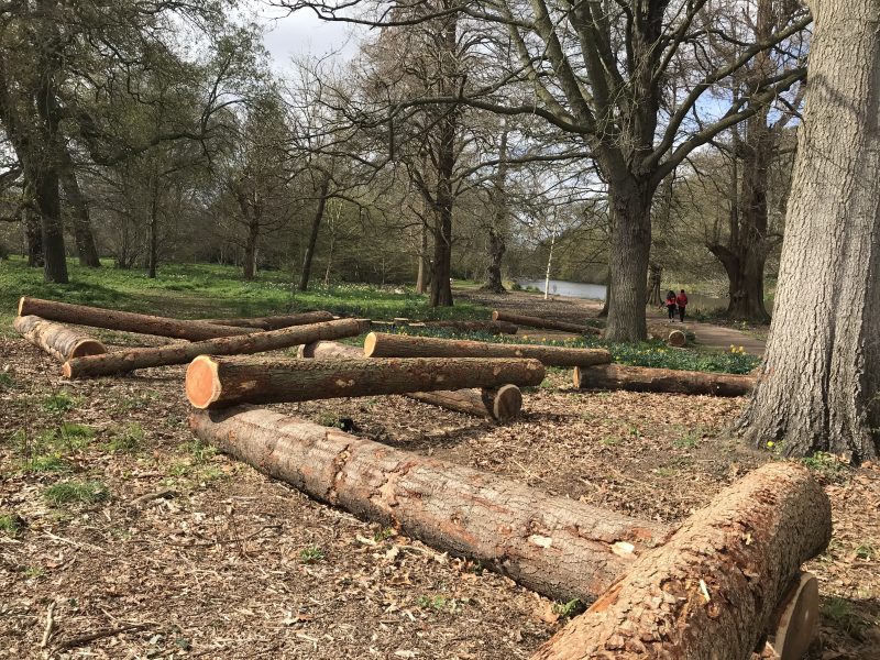 Syon House Gardens, log playground: day out with kids