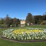 Kew Gardens in Spring, outdoor spaces to visit with kids in London