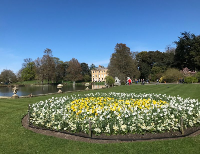 Kew Gardens in Spring, outdoor spaces to visit with kids in London