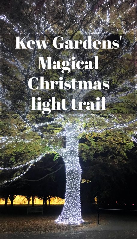 Christmas at Kew: The winter light trail at Kew Gardens 