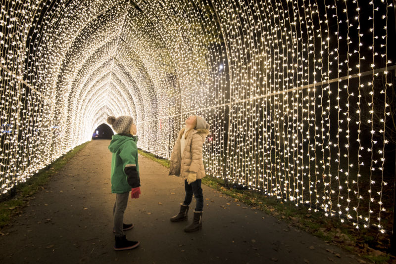 Two children play under the cathedral light installation at Christmas at Kew